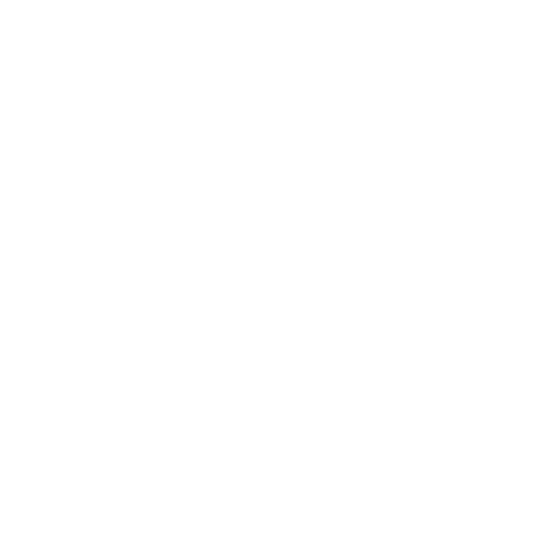 burton.png