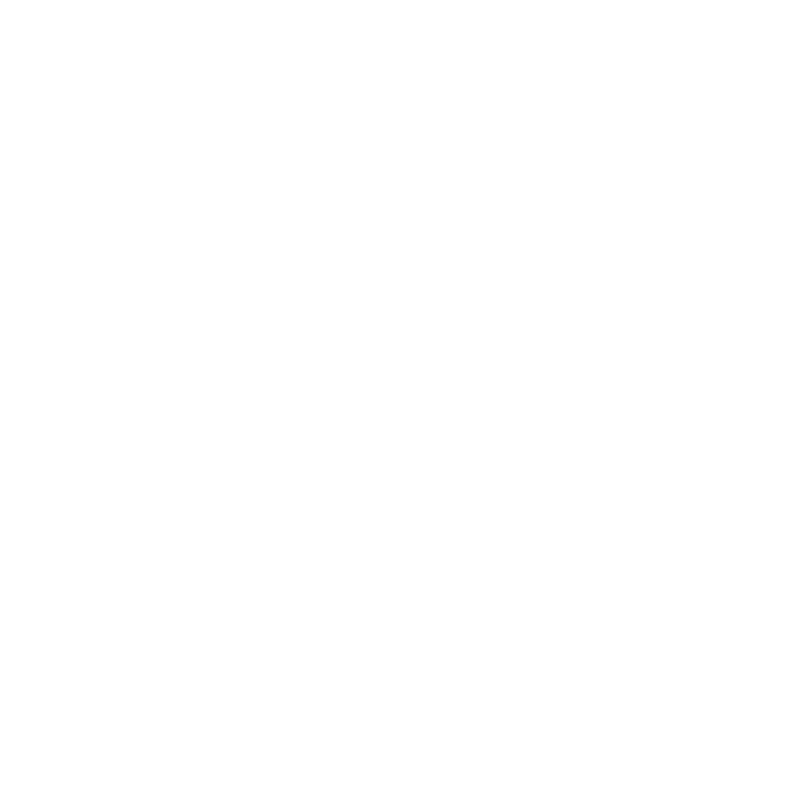 ziener.png